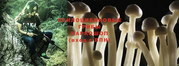 таблы Алексин