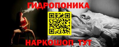 a pvp Камышлов