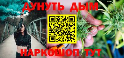 a pvp Камышлов