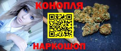 a pvp Камышлов