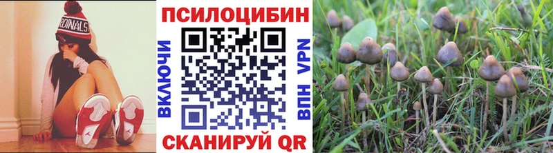 Галлюциногенные грибы прущие грибы Менделеевск