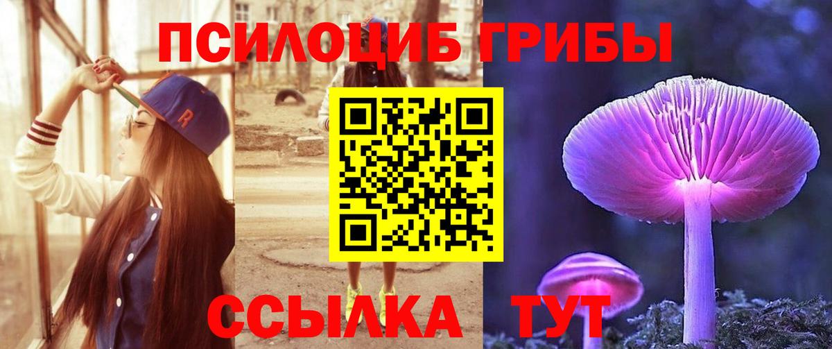 Псилоцибиновые грибы ЛСД Менделеевск